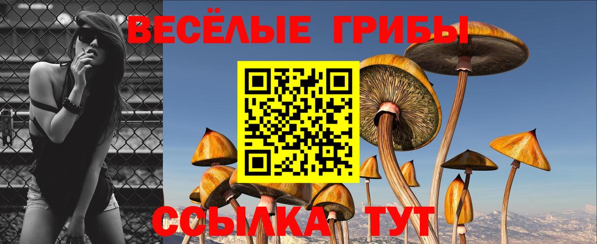 Галлюциногенные грибы GOLDEN TEACHER  Псилоцибиновые грибы Magic Shrooms  Вход с VPN  Елабуга 